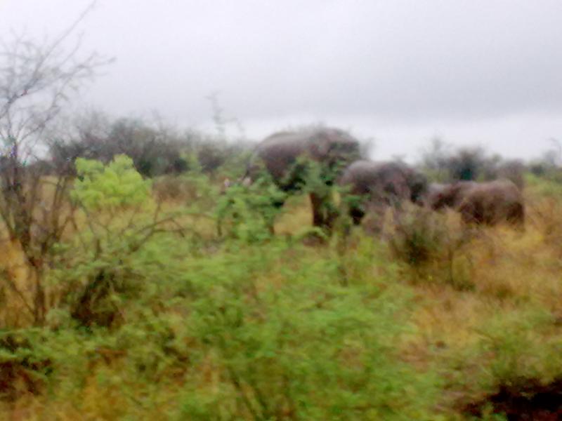 20112009_003.jpg